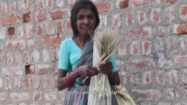 Embedded thumbnail for Balasanthula: The Wandering Shiva