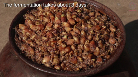 Embedded thumbnail for Brewing Mahua wine in Chhattisgarh